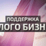 Внимание субъектам малого и среднего бизнеса, начинающим и действующим предпринимателям и самозанятым! - Шемышейский район