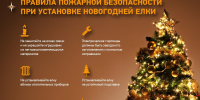 «ПРАЗДНУЕМ НОВЫЙ ГОД БЕЗОПАСНО» - Шемышейский район