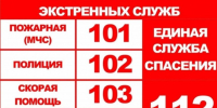 Меры по обеспечению безопасности в период новогодних праздников в Шемышейском районе - Шемышейский район