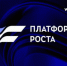 Комплексная программа поддержки предпринимателей «Платформа роста» - Шемышейский район