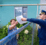 Проведен профилактический рейд по жилому сектору - Шемышейский район