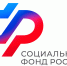 Отделение СФР по Пензенской области в 2025 году назначило досрочно страховую пенсию более 260 многодетным мамам - Шемышейский район