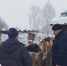 Мониторинг хозяйства Юхименко Е. Н. в рамках грантовой поддержки - Шемышейский район